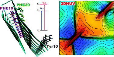 Graphical abstract: Two-dimensional near-ultraviolet spectroscopy of aromatic residues in amyloid fibrils: a first principles study