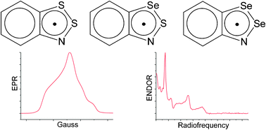 Graphical abstract: Pulse EPR and ENDOR study of 1,2,3-benzodithiazolyl, 2,1,3-benzothiaselenazolyl and 1,2,3-benzodiselenazolyl radicals