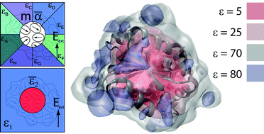 Graphical abstract: A theory for the anisotropic and inhomogeneous dielectric properties of proteins