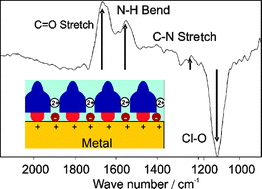 Graphical abstract: Structural control of surface layer proteins at electrified interfaces investigated by in situFourier transform infrared spectroscopy