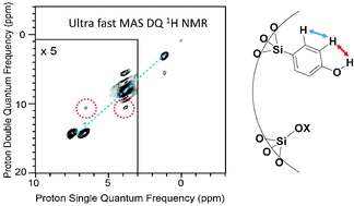 Graphical abstract: A highly ordered mesostructured material containing regularly distributed phenols: preparation and characterization at a molecular level through ultra-fast magic angle spinning proton NMR spectroscopy