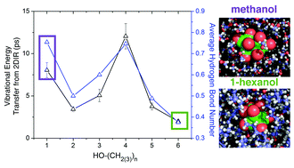 Graphical abstract: Solvent-hindered intramolecular vibrational redistribution