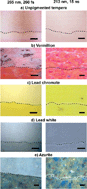 Graphical abstract: UV laser removal of varnish on tempera paints with nanosecond and femtosecond pulses