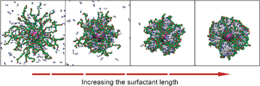 Graphical abstract: Electrostatic binding of oppositely charged surfactants to spherical polyelectrolyte brushes