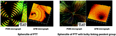 Graphical abstract: Morphology and interference color in spherulite of poly(trimethylene terephthalate) copolyester with bulky linking pendent group