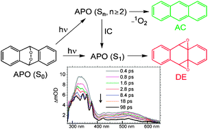 Graphical abstract: Dual photochemistry of anthracene-9,10-endoperoxide studied by femtosecond spectroscopy