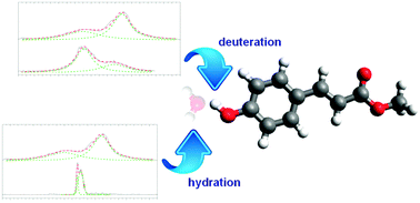Graphical abstract: Spectroscopy and dynamics of methyl-4-hydroxycinnamate: the influence of isotopic substitution and water complexation