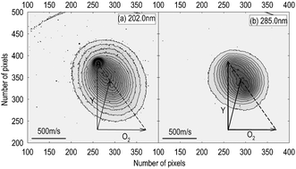 Graphical abstract: Time-sliced ion-velocity imaging study of the reaction Y + O2 → YO + O