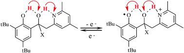 Graphical abstract: H-bond relays in proton-coupled electron transfers. Oxidation of a phenol concerted with proton transport to a distal base through an OH relay