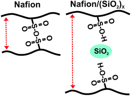 Graphical abstract: Effect of SiO2 on the dynamics of proton conducting [Nafion/(SiO2)X] composite membranes: a solid-state 19F NMR study