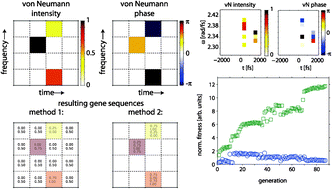 Graphical abstract: Adaptive coherent control using the von Neumann basis