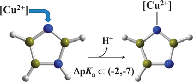 Graphical abstract: Computational calculations of pKa values of imidazole in Cu(ii) complexes of biological relevance