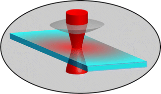 Graphical abstract: Optical fluid and biomolecule transport with thermal fields