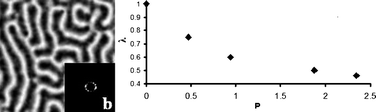 Graphical abstract: Nanoscale changes induce microscale effects in Turing patterns