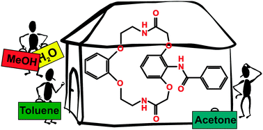 Graphical abstract: Study of host–guest interactions in benzodiazacoronands by means of solid state NMR spectroscopy, X-ray diffraction and quantum mechanical computations