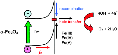 Graphical abstract: Kinetics of oxygen evolution at α-Fe2O3 photoanodes: a study by photoelectrochemical impedance spectroscopy