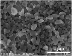 Graphical abstract: Top-down and bottom-up approaches in production of aqueous nanocolloids of low solubility drug paclitaxel