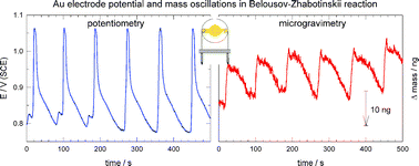 Graphical abstract: New insights into the Belousov-Zhabotinskii reaction derived from EQCM measurements at a gold electrode