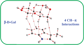 Graphical abstract: Quantification of binding affinities of essential sugars with a tryptophan analogue and the ubiquitous role of C–H⋯π interactions