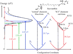 Graphical abstract: Ultrafast excited state dynamics of fucoxanthin: excitation energy dependent intramolecular charge transfer dynamics