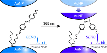 Graphical abstract: Photoisomerization of azobenzene derivatives confined in gold nanoparticle aggregates