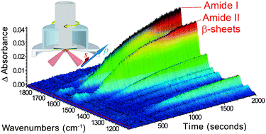 Graphical abstract: Rheo-attenuated total reflectance infrared spectroscopy: a new tool to study biopolymers