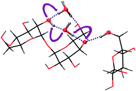 Graphical abstract: Identification of primary free radicals in trehalose dihydrate single crystals X-irradiated at 10 K