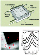 Graphical abstract: Corrosion of Ni in 1-butyl-1-methyl-pyrrolidinium bis (trifluoromethylsulfonyl) amide room-temperature ionic liquid: an in situ X-ray imaging and spectromicroscopy study