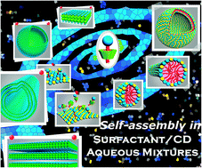 Graphical abstract: Unveil the potential function of CD in surfactant systems