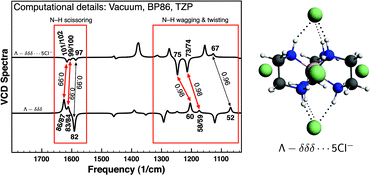 Graphical abstract: Signatures of counter-ion association and hydrogen bonding in vibrational circular dichroism spectra