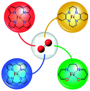 Graphical abstract: Toward understanding macrocycle specificity of iron on the dioxygen-binding ability: a theoretical study