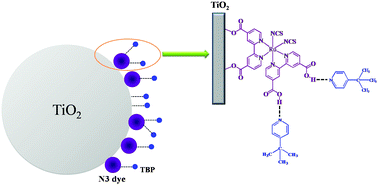 Graphical abstract: Interface modification effects of 4-tertbutylpyridine interacting with N3 molecules in quasi-solid dye-sensitized solar cells