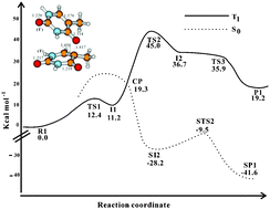 Graphical abstract: A triplet mechanism for the formation of thymine–thymine (6-4) dimers in UV-irradiated DNA