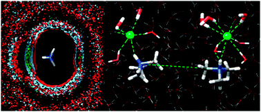 Graphical abstract: Molecular dynamics and Monte Carlo simulations for the structure of the aqueous trimethylammonium chloride solution in the 0.2–1 molar range