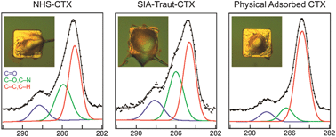 Graphical abstract: Effects of electrode surface modification with chlorotoxin on patterning single glioma cells