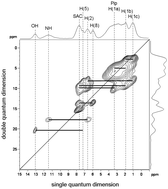 Graphical abstract: Multinuclear solid state NMR investigation of two polymorphic forms of Ciprofloxacin-saccharinate