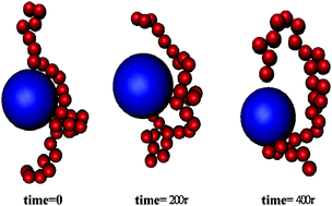 Graphical abstract: Polymer–nanoparticle interfacial behavior revisited: A molecular dynamics study