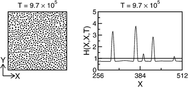 Graphical abstract: Morphological phase separation in unstable thin films: pattern formation and growth