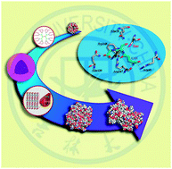 Graphical abstract: Artificial selenoenzymes: Designed and redesigned