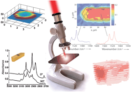 Graphical abstract: Infrared and Raman imaging of heterogeneous catalysts