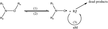 Graphical abstract: Kinetic subtleties of nitroxide mediated polymerization