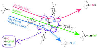 Graphical abstract: Selective functionalisation of saturated C–H bonds with metalloporphyrin catalysts