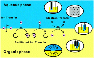 Graphical abstract: Electrochemistry at micro- and nanoscopic liquid/liquid interfaces