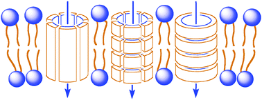 Graphical abstract: Recent synthetic transport systems