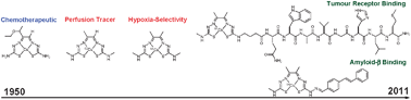 Graphical abstract: Copper complexes of bis(thiosemicarbazones): from chemotherapeutics to diagnostic and therapeutic radiopharmaceuticals