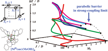 Graphical abstract: Magnetic anisotropies in paramagnetic polynuclear metal complexes