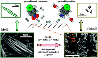 Graphical abstract: β-Molybdenum nitride: synthesis mechanism and catalytic response in the gas phase hydrogenation of p-chloronitrobenzene