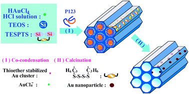 Graphical abstract: Selective oxidation of cyclohexane over gold nanoparticles supported on mesoporous silica prepared in the presence of thioether functionality