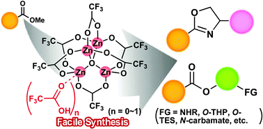 Graphical abstract: A trifluoroacetic acid adduct of a trifluoroacetate-bridged μ4-oxo-tetranuclear zinc cluster, Zn4(OCOCF3)6O·CF3CO2H: synthesis under mild conditions and catalytic transesterification and oxazoline formation