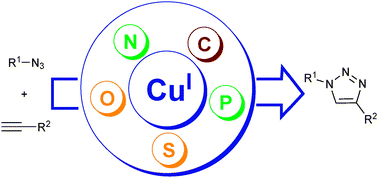 Graphical abstract: Well-defined copper(i) complexes for Click azide–alkyne cycloaddition reactions: one Click beyond